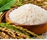 Basmati & Non-Basmati Rice
