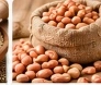 Groundnut