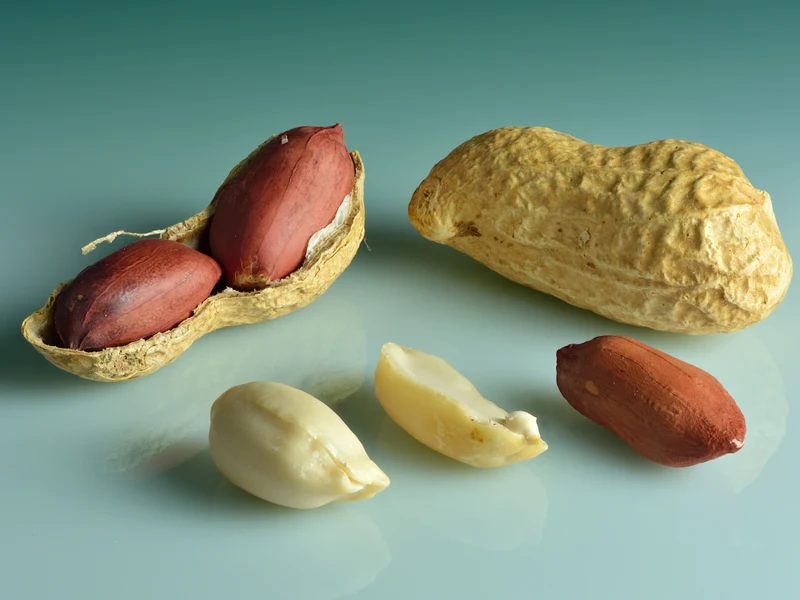 Bold and Java Groundnuts