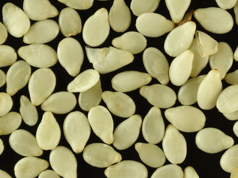 Natural & Hulled Sesame Seeds